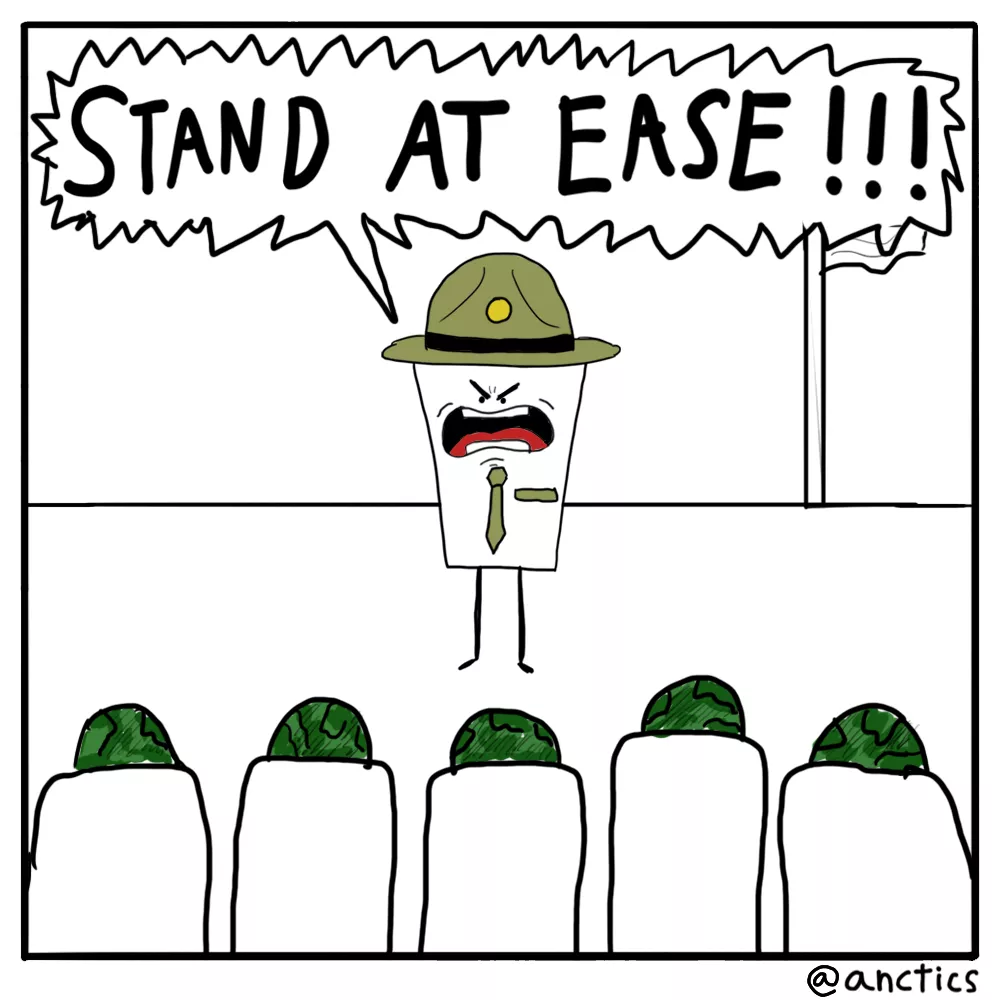 Drill Sergeant