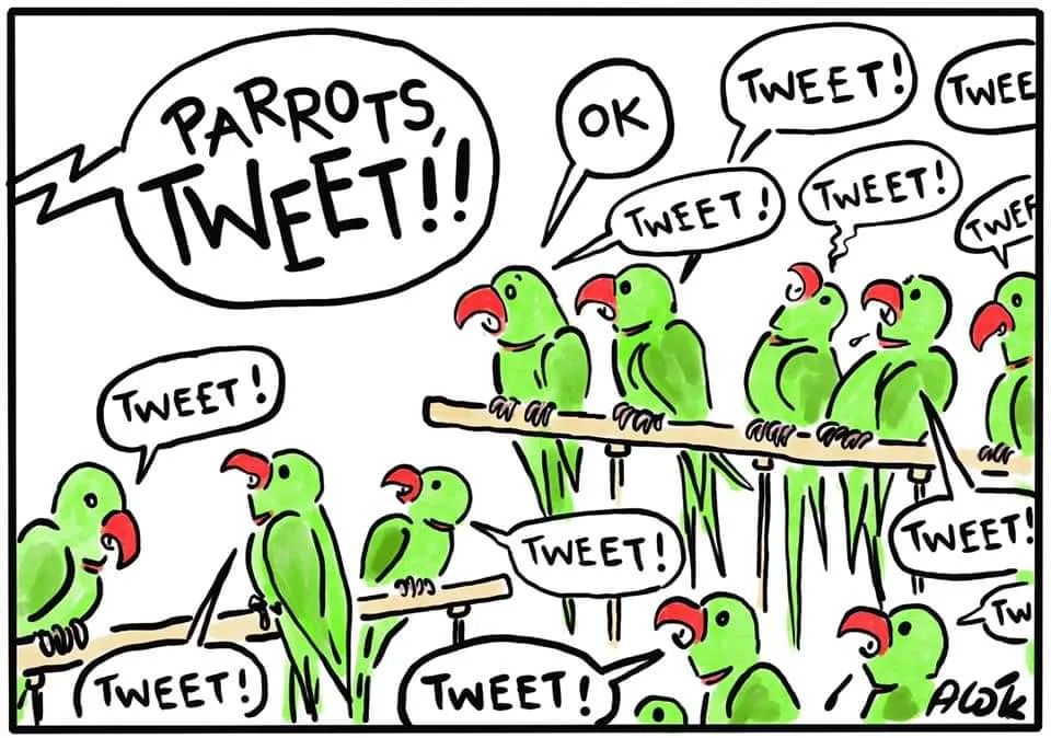 Parrots