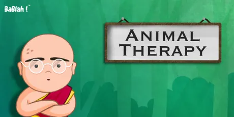 Animal Therapy